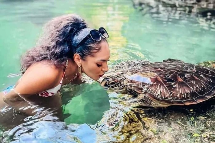 Zanzíbar: experiencia de natación en la cueva de tortugas marinas de Nungwi