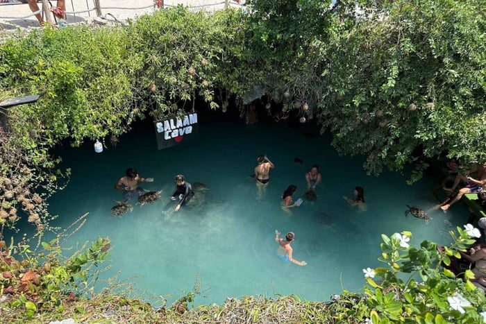 Le paradis de Zanzibar : grotte de Salaam, Mtende, Paje et visite du Rock Restaurant