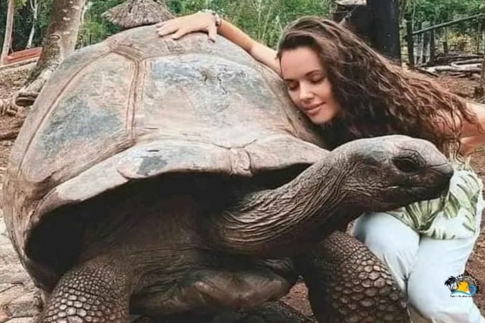 ザンジバル：監獄島とナクペンダ砂州（昼食付