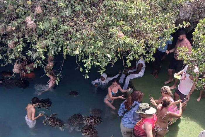 ZANZÍBAR: Isla de la Prisión y cueva de Salaam, tortugas, baño y exploración