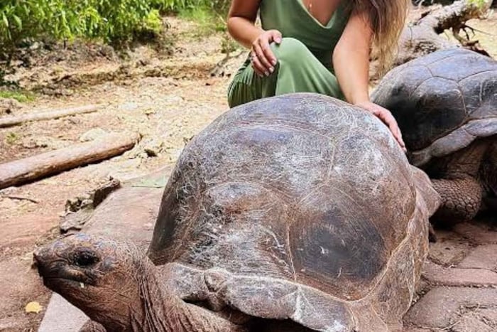 Zanzibar: Prison Island & Giant Tortoises Boat Trip