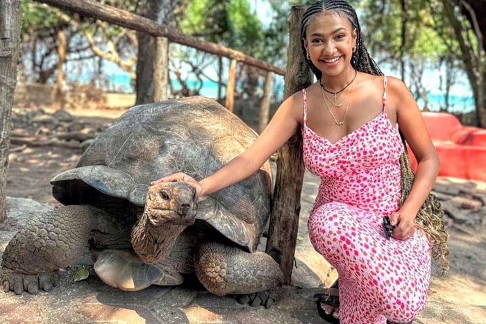 Zanzíbar: Isla Prisión y tortugas gigantes con servicio de recogida
