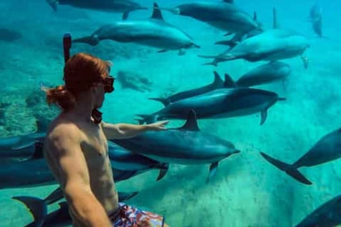 Zanzibar: Private Mnemba Dolphin Safari & Snorkeling