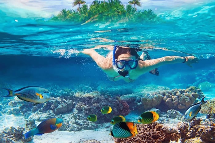 Zanzibar : excursion Safari Blue d'une journée avec plongée avec tuba et déjeuner