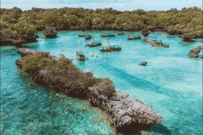 Zanzibar : Safari blue half day trip, snorkeling and lunch