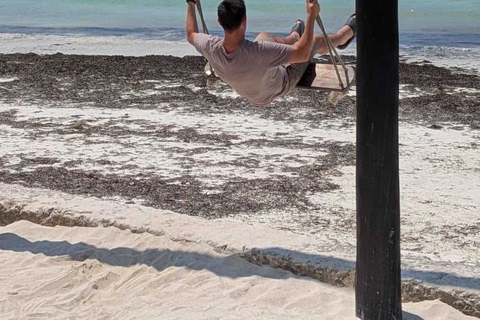 Zanzibar: Spice Farm,Sea Turtles Sanctuary Tour and The Rock