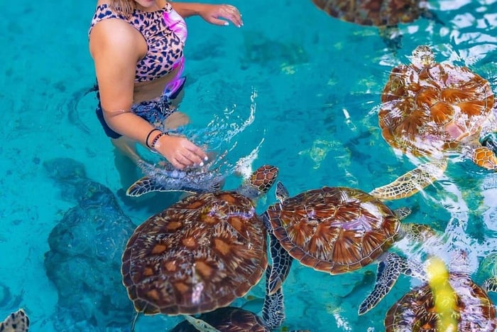 Zanzibar: Swim with Sea Turtles at Salaam Cave