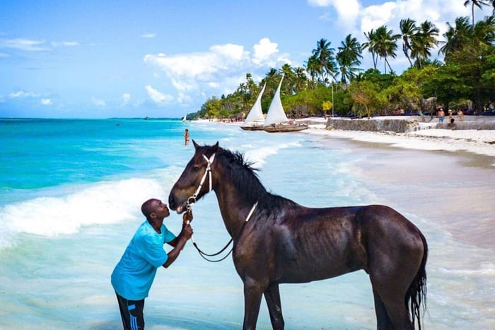 Zanzibar: nuota con i cavalli e cavalca nell'oceano