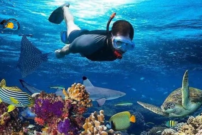 Zanzibar: Tumbatu Island Snorkeling and Sunset Dhow Cruise