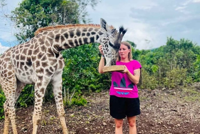 Madagascar: experiencia con lémures en la Reserva Comunitaria de Anja