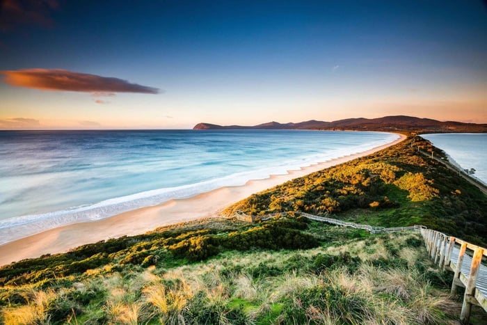 2-dniowa wycieczka Tasmanian Highlights Tour - wyspa Bruny i Port Arthur