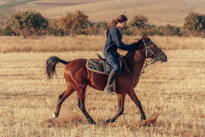 Bush Trail Horseback Riding Adventure
