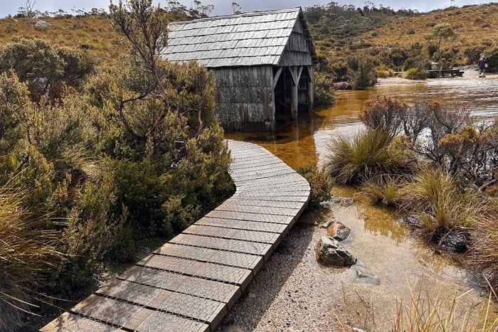 Halvdagstur till Cradle Mountain med lunch