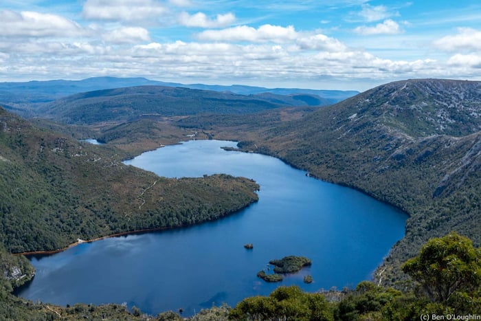 Cradle Mountain: tour de 1 día guiado por el lago Dove con almuerzo