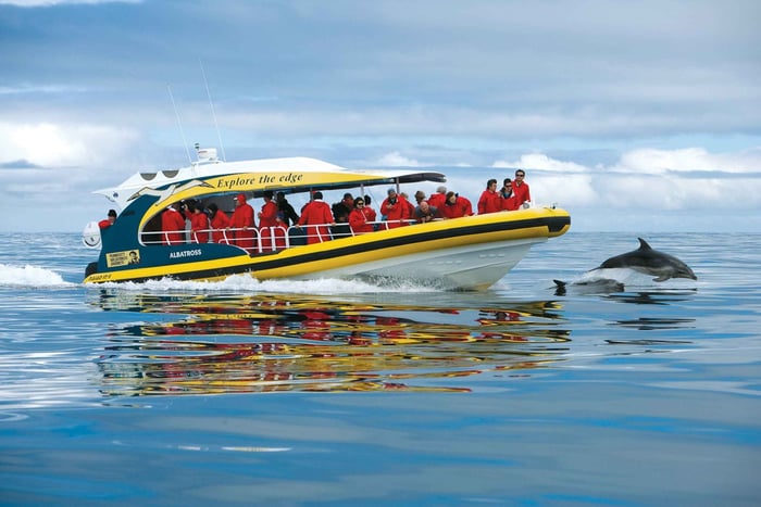 Hobart: Bruny Island Wilderness Coast Eco Cruise met lunch