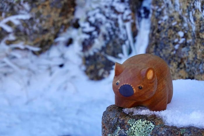 Hobart: MONA, Salamanca Place, Zoo, and Mt Wellington Tour