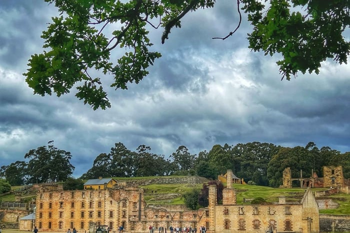 Hobart: Port Arthur, havenrondvaart en rondvaart over het Dodeneiland
