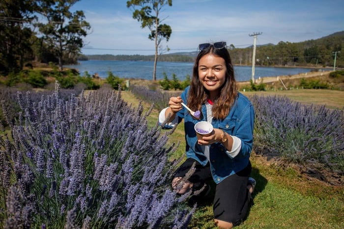 Hobart: Port Arthur, Lavender Farm, Richmond en Tasman NP