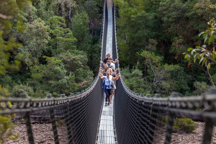 Hobart : Tahune Airwalk, grottes de Hastings, sources thermales
