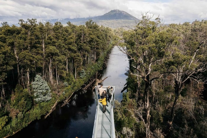 Huon Valley: Entrébillet til Tahune Adventures Airwalk