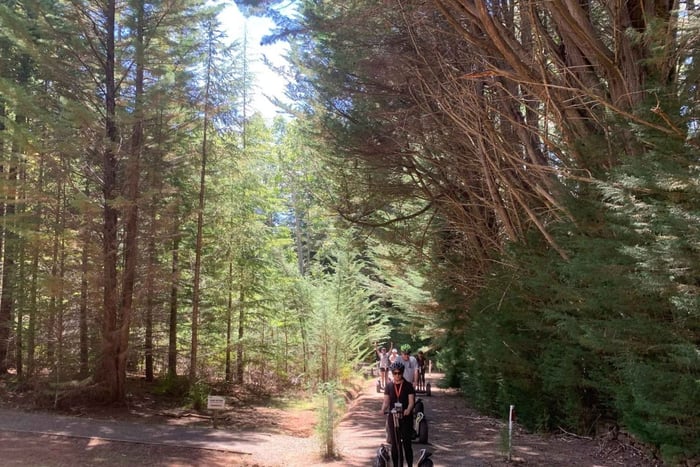 Launceston : visite en Segway de la forêt de Hollybank avec photos