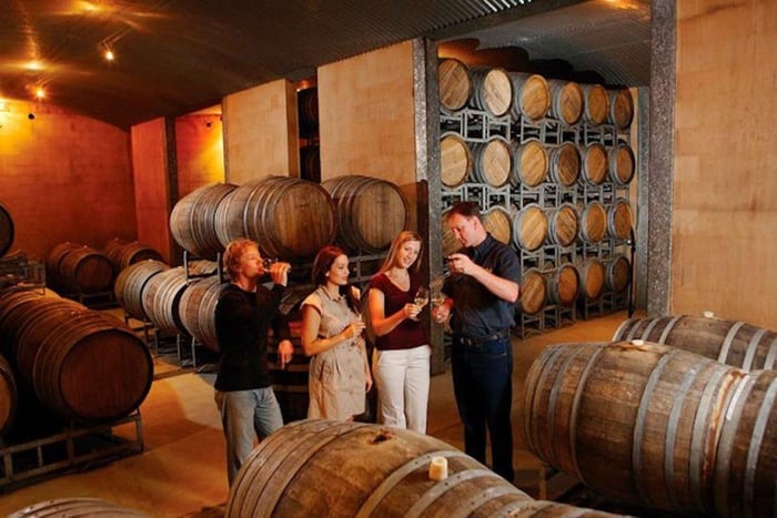 Launceston: Ruta del Vino del Valle del Tamar con Almuerzo