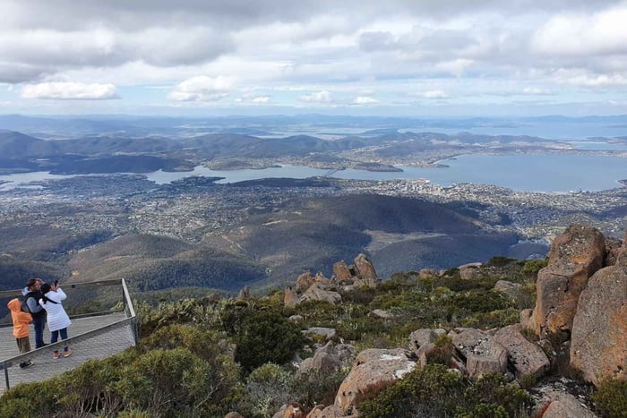 Mt Wellingtonin iltapäivän pienryhmäajelukierros