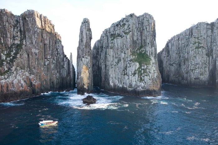 Excursión de un día a la Península de Tasmania con Crucero y Diablos desde Hobart