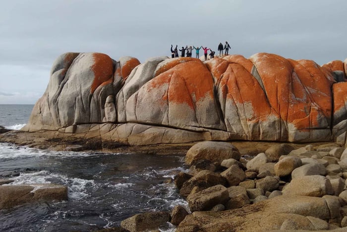 Tasmania: 7-Day West to East Tour