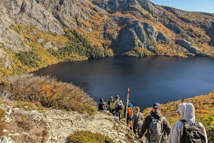 Tasmânia: Excursão de 6 dias guiada pela natureza selvagem e vida selvagem