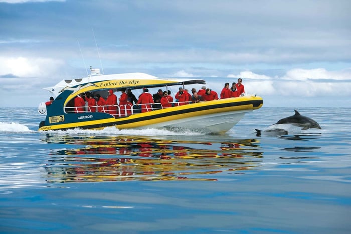 Hobart: Bruny Island Wilderness Coast Eco Cruise lounaalla.