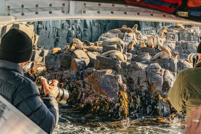 Desde Hobart/Bahía de la Aventura Crucero por las Tierras Salvajes de la Isla Bruny