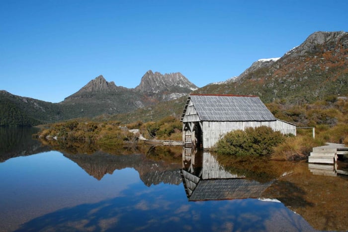 Launceston: excursión de 1 día a Cradle Mountain