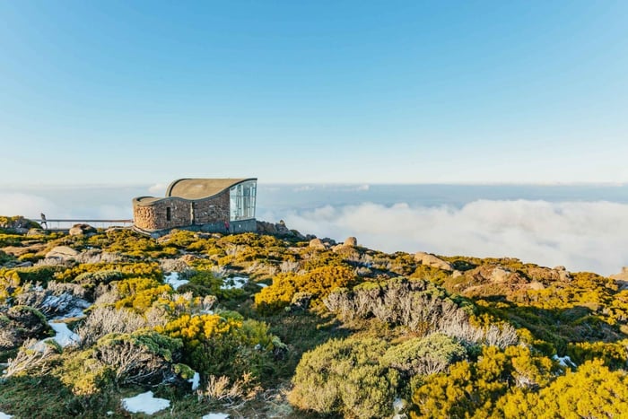 Hobart: Mt Wellington, Mt Field, Bonorong en Richmond Trip