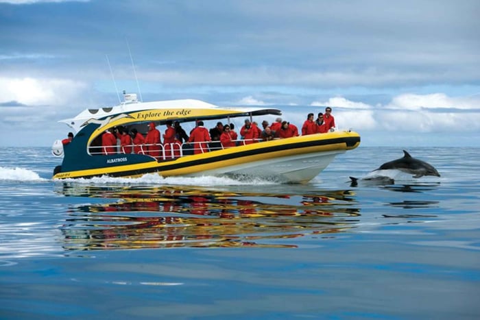 Desde Port Arthur Crucero por la naturaleza de la Isla Tasman