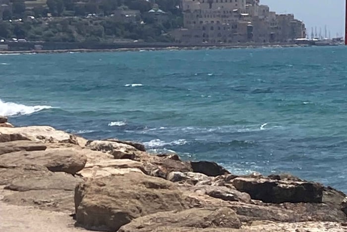 Tel Aviv and Jaffa VIP Tour