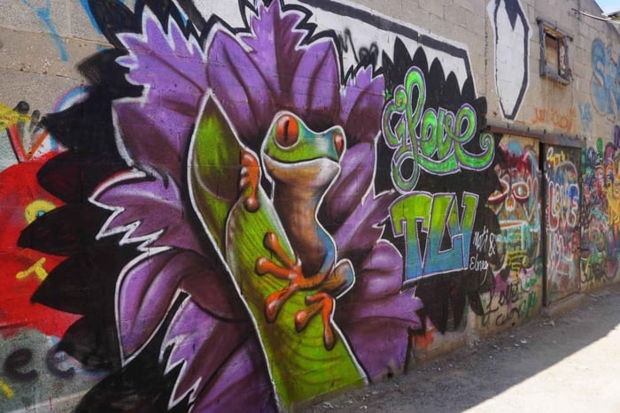 Tel Aviv: katutaide- ja graffitikierros