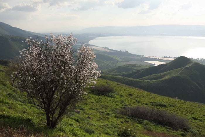 Da tour di Magdala, Monte delle Beatitudini e Cana