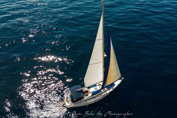 Tour privato di 3 ore in barca a vela per l'avvistamento delle balene a Puerto Colon-Tenerife Sur