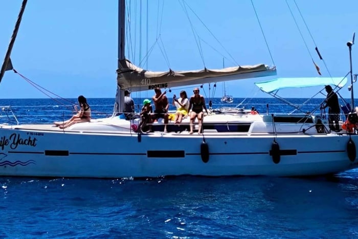 3h Whale Watching Private Tour Costa Adeje Lina7 Mizendoha