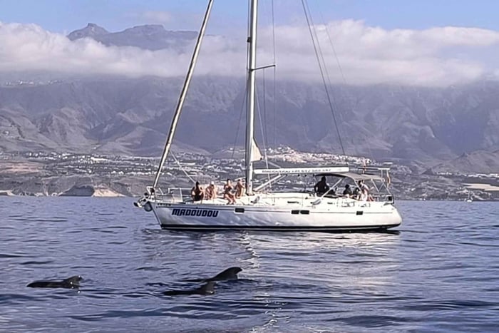 3h Whale Watching Share Tour Beneteau Oceanis 440