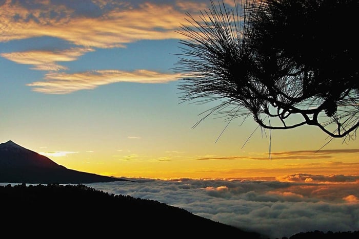 Banana Plantation Tour & Teide Sunset Experience