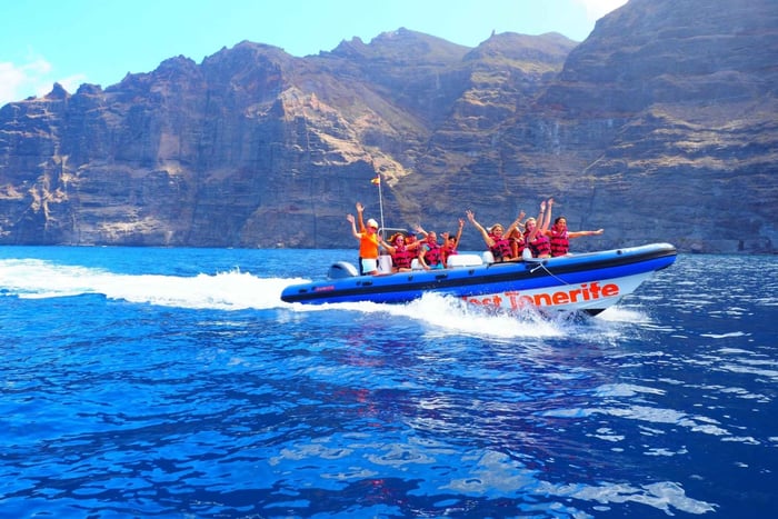 Tour en barco por Acantilados de Los Gigantes hasta Punta Teno
