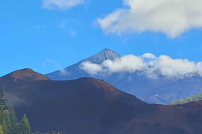 Chinyero Volcano: Hike through pine forest and on the most recent volcanoes