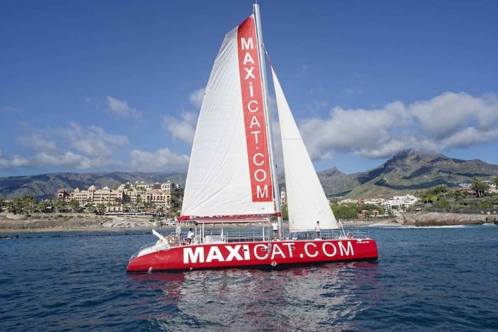 Costa Adeje: Whale and Dolphin Cruise with Food and Pickup