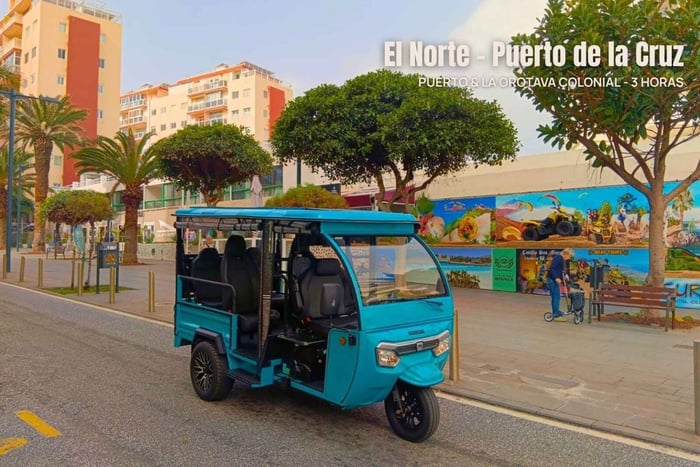 Découvrez le nord de Tenerife : Puerto de la Cruz et La Orotava historique (2 heures)