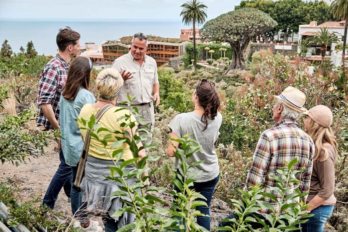 From South Tenerife: VIP Grand Tour Tenerife island
