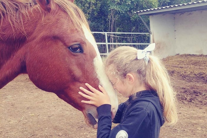 La Orotava: Workshop 'Natural Horsemanship' and Permaculture