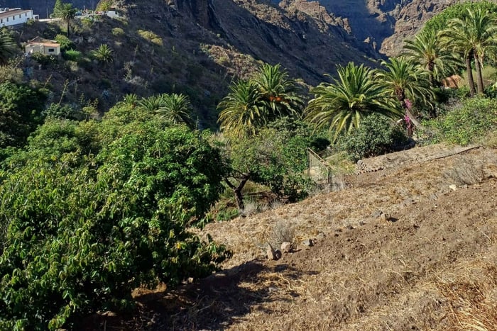 villaggio di Masca, degustazione di vini e tour di tapas