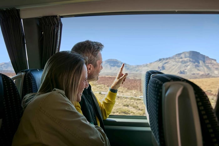 Mount Teide: Day Trip to Volcano Teide Without Cable Car